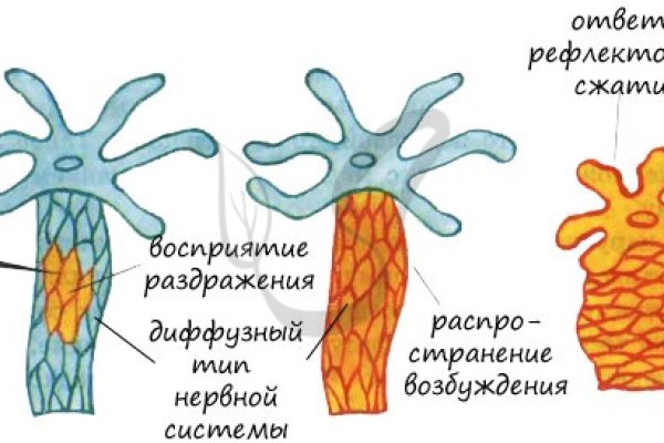 Kraken сайт покупок